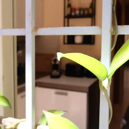 New! Station “termini” Loft רומא